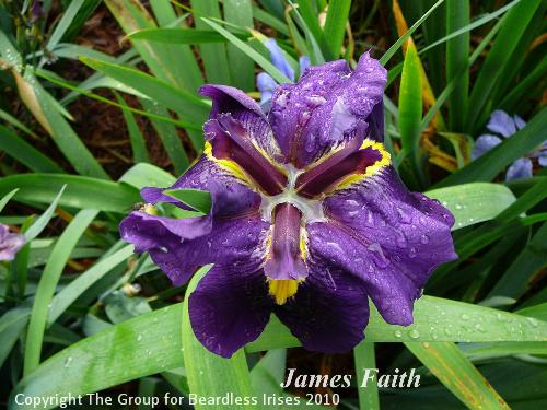 James Faith 
